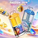 falcon-gem-30k-950mah-18ml-2-jnr 11.webp